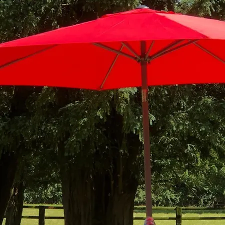 Le Domaine D'olene