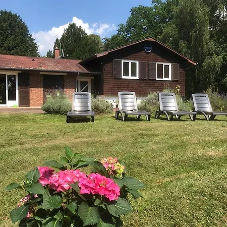 Le Domaine D'olene * Le Pin (Deux-Sevres)