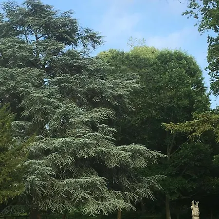 Frühstückspension Le Domaine D'olene *